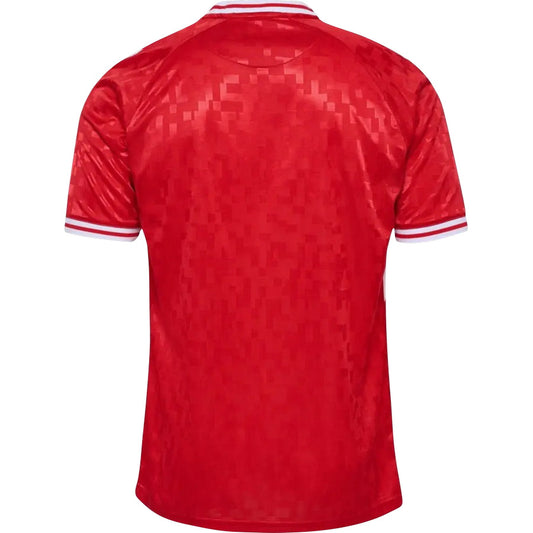 Denmark Home Jersey EURO 2024 Adults