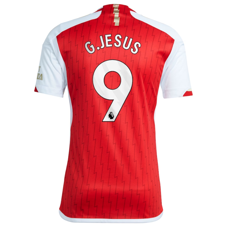 Arsenal Team 2023-24 with Jersey G.Jesus 9 printing - red