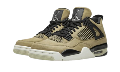 Jordan 4 Mushroom